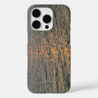 Sea view Green iPhone 16 Pro Case