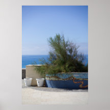 Sea View Obstructed By A Shrub