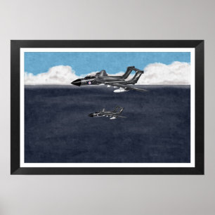 Sea Vixen 1967 Poster