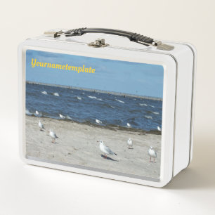 sea, water, seagull, bird, travel, blue, sky, metal lunch box