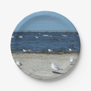 sea, water, seagull, bird, travel, blue, sky, paper plate