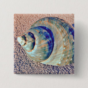 Sea Welk Seashell 15 Cm Square Badge