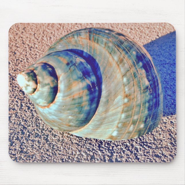 Sea Welk Seashell Mouse Mat (Front)