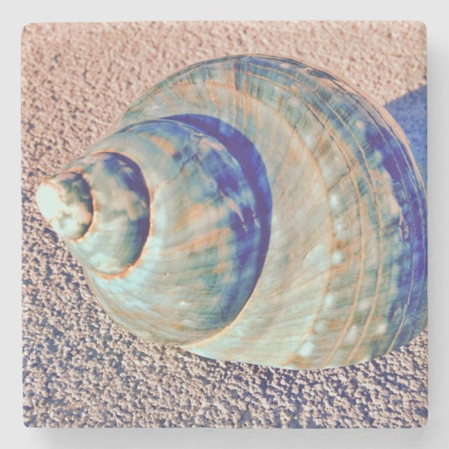 Sea Welk Seashell Stone Coaster (Front)