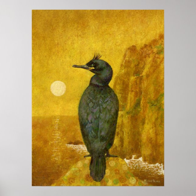 Seabird And Seascape Poster Print (Front)