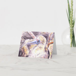 Seabird BLANK Note Card