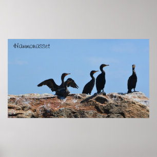 Seabird Poster