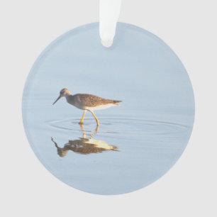 Seabird Reflection Photo Ornament