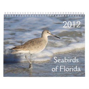 Seabirds of Florida 2012 Calendar