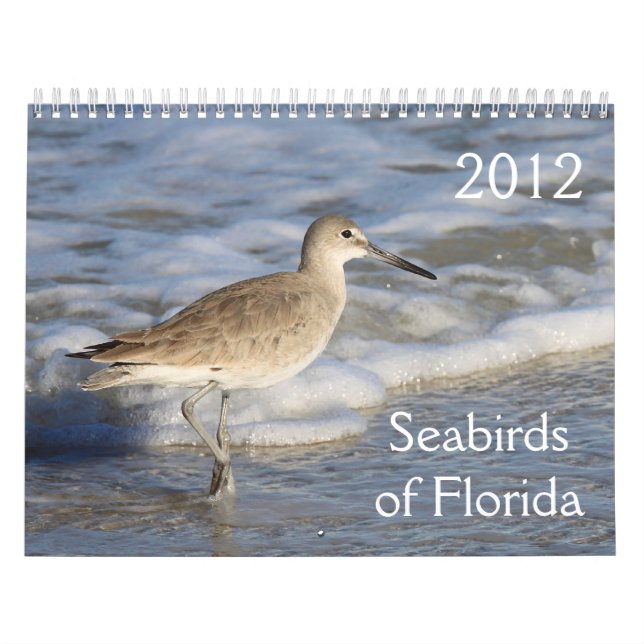 Seabirds of Florida 2012 Calendar (Cover)
