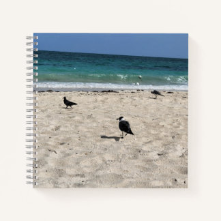 Seabirds & Scribbles Notebook