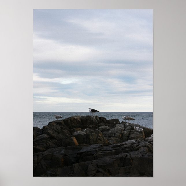 Seabrook Gulls Poster (Front)