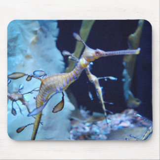 SeaDragon Mouse Mat