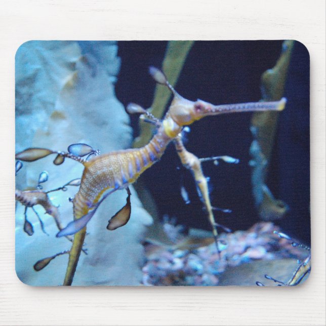 SeaDragon Mouse Mat (Front)