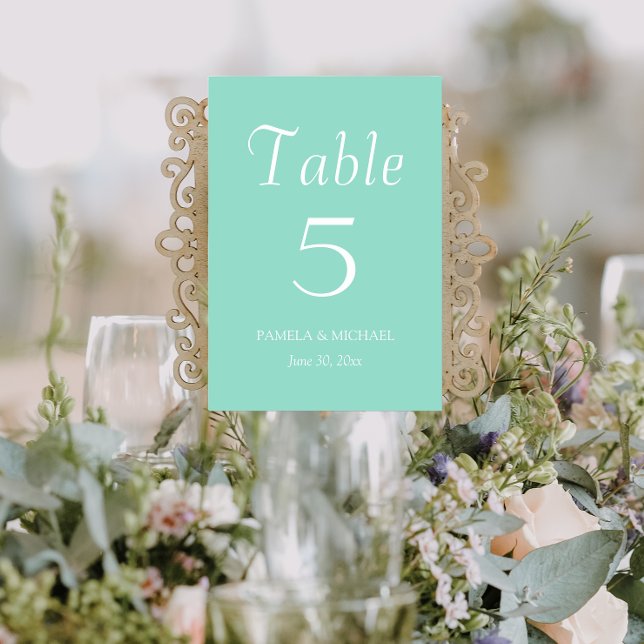 Seafoam Simple Style Wedding Table Number (In Situ Wedding)