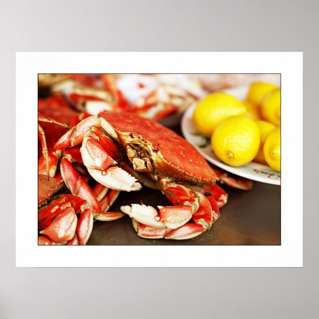 Seafood Crab Photograph Poster/print 24x19 Poster (Front)