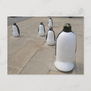Seafront Penguins Postcard
