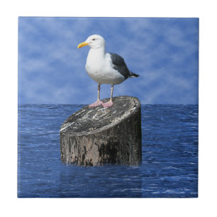 SEAGUL TILE