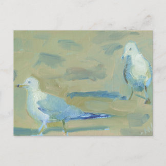 Seagull 1 postcard
