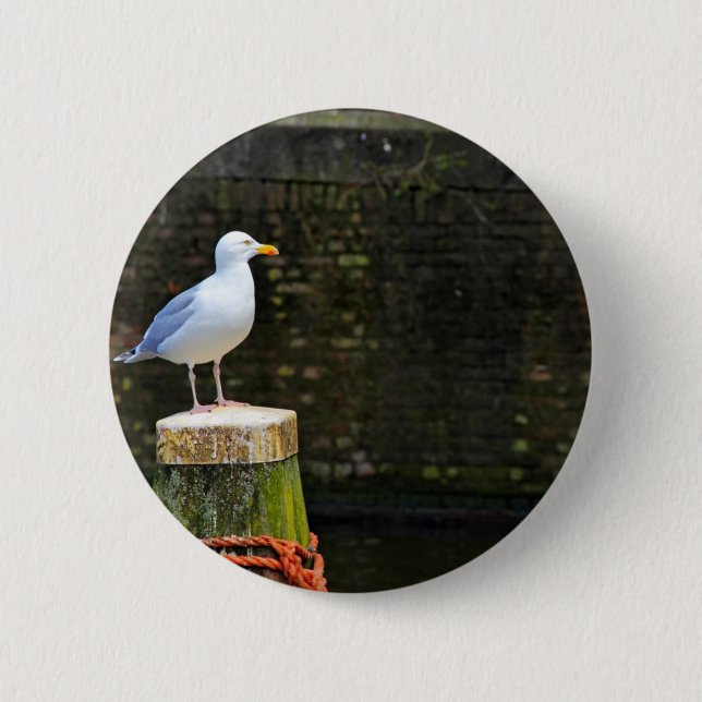 Seagull 6 Cm Round Badge (Front)