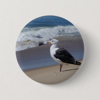 Seagull 6 Cm Round Badge