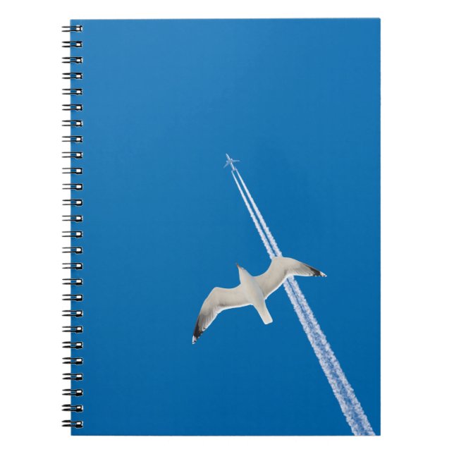Seagull and aeroplane notebook (Front)