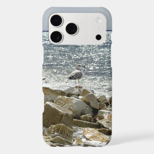 Seagull and sea