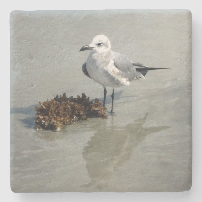 Seagull and Seaweed on Beach Stone Coaster (Front)