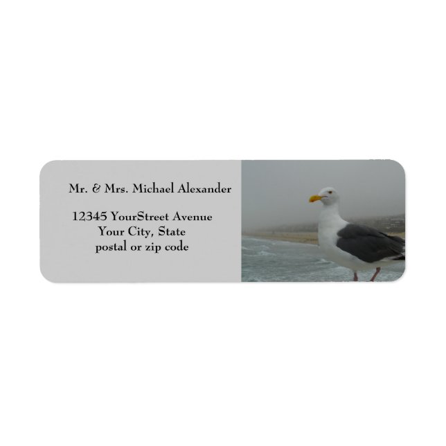 Seagull at Beach Foggy Day (Front)