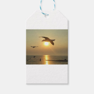 Seagull at Sunset Gift Tags