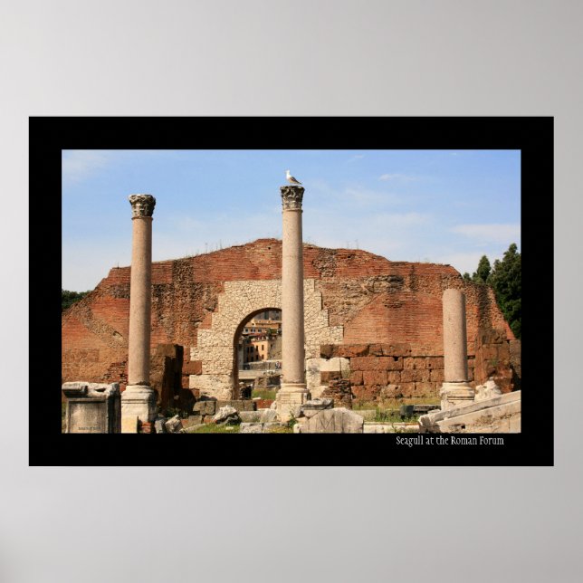 Seagull at the Forum Poster (Front)