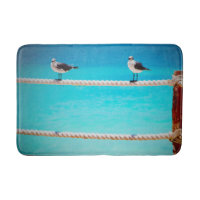 Seagull beach birds turquoise ocean photo coastal