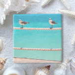 Seagull beach birds turquoise ocean photo coastal stone coaster<br><div class="desc">There’s good vibes all around whenever you use this photography stone coaster with your favourite beverage. Happy, white, and grey seagulls relax on a rope fence set against the vibrant, turquoise ocean. Makes a great housewarming gift! You can easily personalise this stone coaster. I also offer customisation on any product....</div>