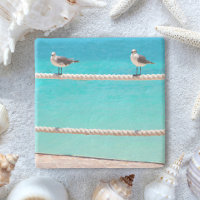 Seagull beach birds turquoise ocean photo coastal