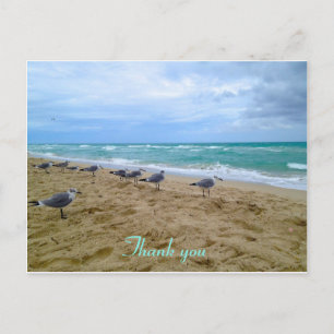 Seagull beach thank you postcard
