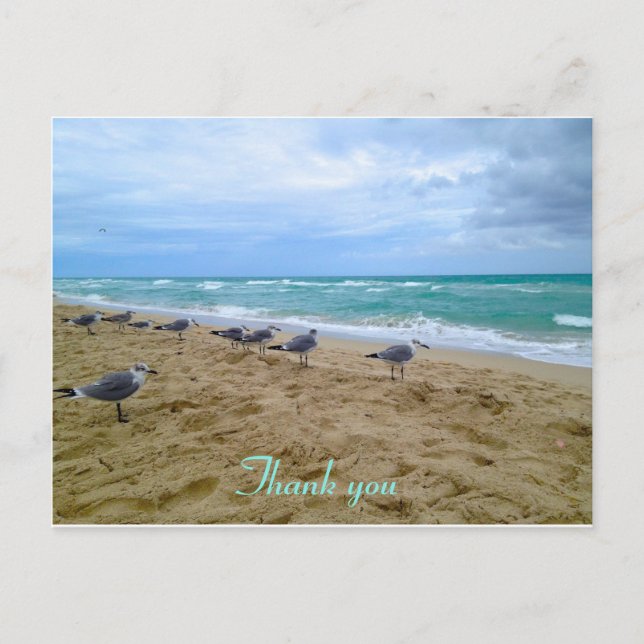 Seagull beach thank you postcard (Front)
