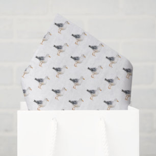Seagull Bird Beach Ocean Coast White Watercolor Tissue Paper