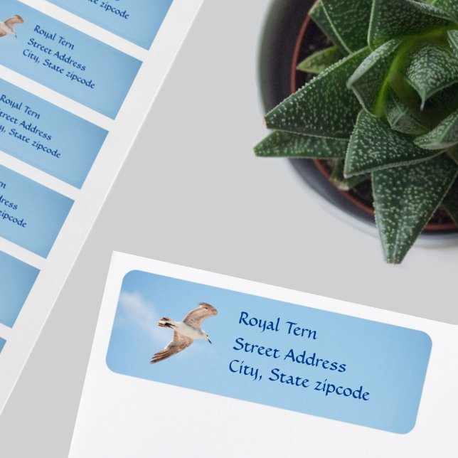 Seagull Bird in Flight Address Labels (Creator Uploaded)