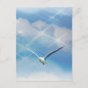 Seagull Bird in Flight Photo Postcard