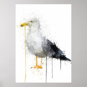 Seagull Bird Poster