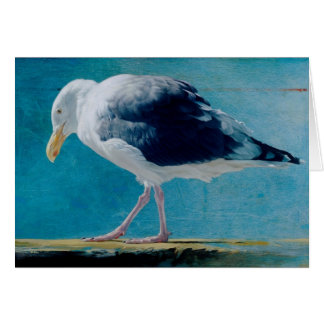 Seagull Blank Card by Andrew Denman