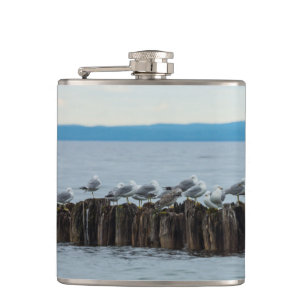 Seagull Breaktime Hip Flask
