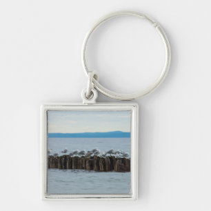 Seagull Breaktime Key Ring