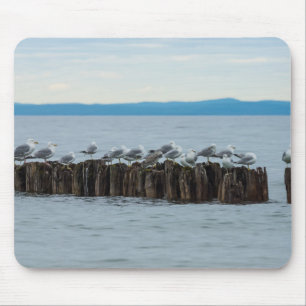 Seagull Breaktime Mouse Mat