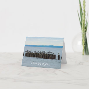 Seagull Breaktime Thinking Of You Card