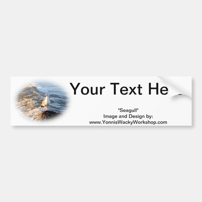 Seagull Bumper Sticker (Front)
