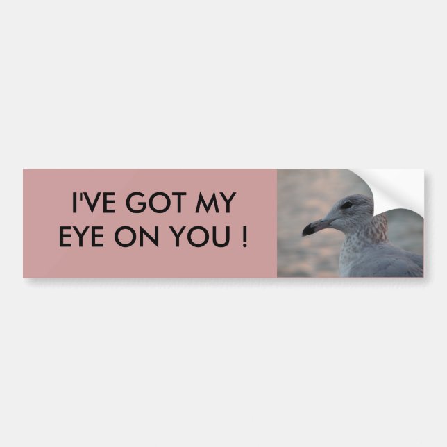 Seagull Bumper Sticker (Front)