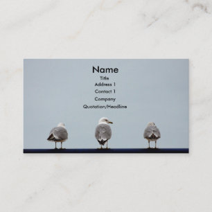 Seagull Business Cards