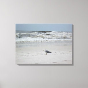 Seagull by the Ocean on Canvas Print