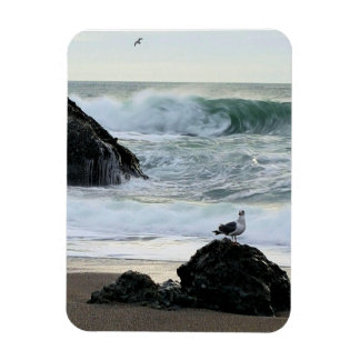 Seagull by the Sea Magnet